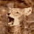 :iconmattvrenna: