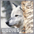 :iconmatty-wolf: