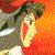 :iconmaudezilla: