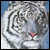 :iconMaurice87: