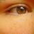 :iconmaurmaur: