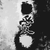 :iconmauro-17: