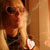 :iconmaus-kemawobens: