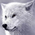 :iconmaverick9110e: