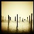 :iconmaverickart: