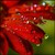 :iconmawhaley1: