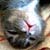 :iconmawie512:
