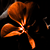 :iconmawree: