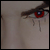 :iconmax-abag: