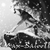 :iconmax-loup: