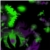 :iconmax-the-dragon:
