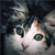 :iconmax1mas: