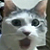 :iconmaxdestruction: