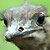 :iconmaxerman: