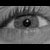 :iconmaxi168: