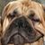 :iconmaximbully: