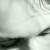 :iconmaximilianomorgan: