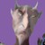:iconmaximini27: