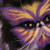 :iconmaximnazarenko: