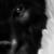 :iconmaximum-howl: