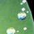 :iconmaximum90: