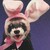 :iconmaxmiddle: