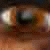 :iconmaxq: