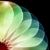 :iconmaxstag: