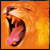:iconmaxstudioolsztyn: