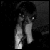 :iconmaxter:
