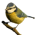 :iconmay-02: