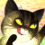 :iconmay-be: