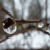 :iconmay-lynn: