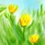 :iconmay-myrthle: