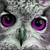 :iconmay43: