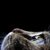 :iconmay96: