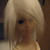 :iconmaybird: