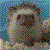 :iconmaycristi: