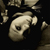 :iconmayhemphotography: