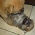 :iconmayhemztreet: