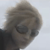 :iconmayiask1: