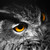 :iconmayistosbug: