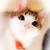 :iconmayleebell24: