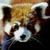 :iconmayling: