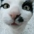 :iconmayou-squat: