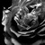 Mayoux :iconmayoux: