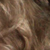 :iconmaysasu:
