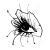 :iconmaytoo:
