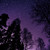 :iconmayyich: