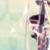 :iconmayyuo: